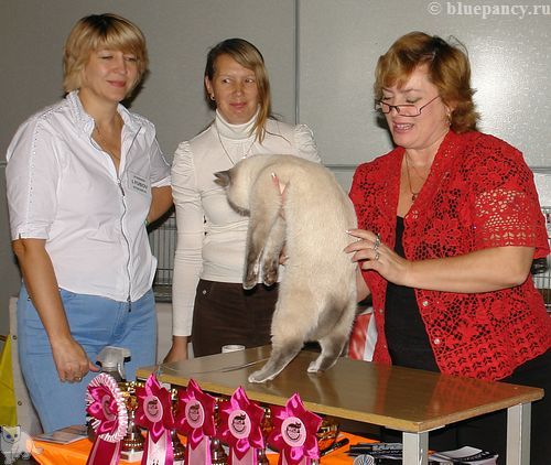  Ch. Thais g. Softcat:  